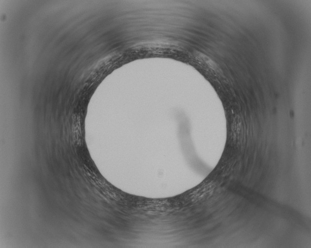 X0000062871062200602101646