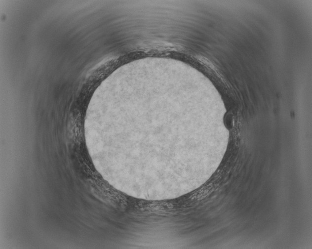 X0000062871063200602101646