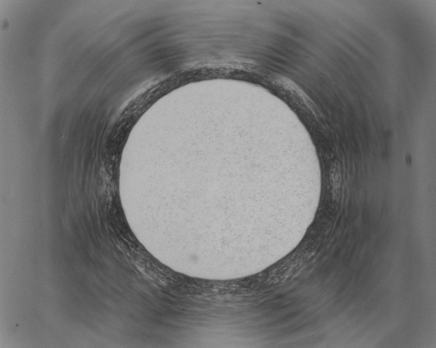 X0000062871064200602101646