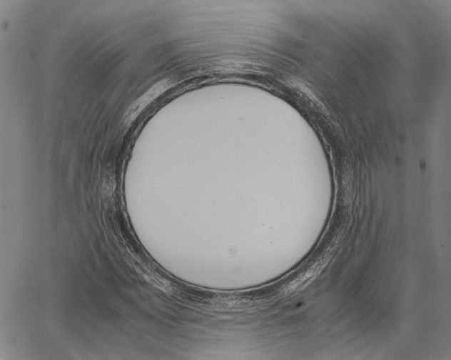 X0000062871065200602101646