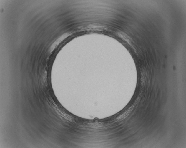 X0000062871066200602101646