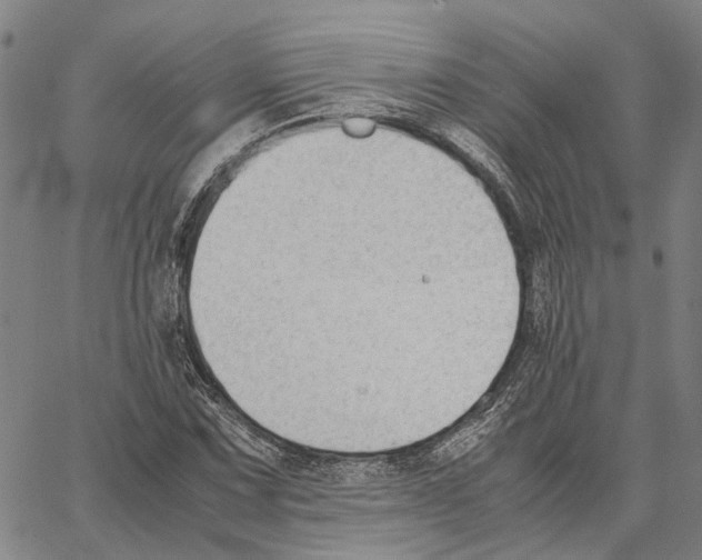 X0000062871067200602101646