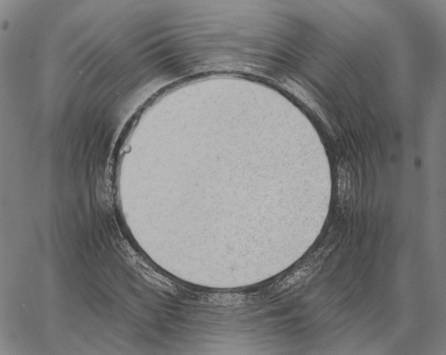 X0000062871068200602101646