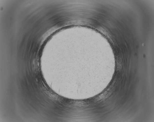 X0000062871070200602101646