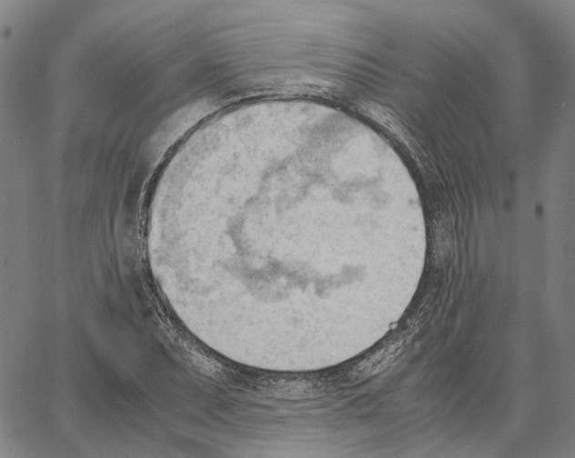 X0000062871071200602101646