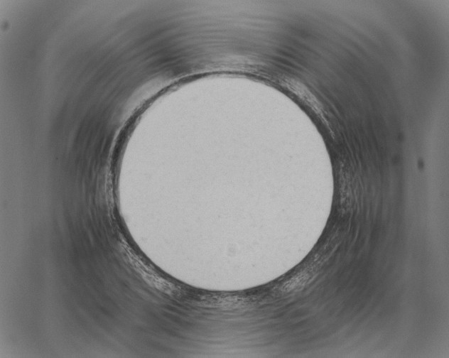 X0000062871072200602101646