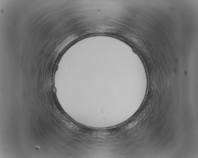 X0000062871073200602101646