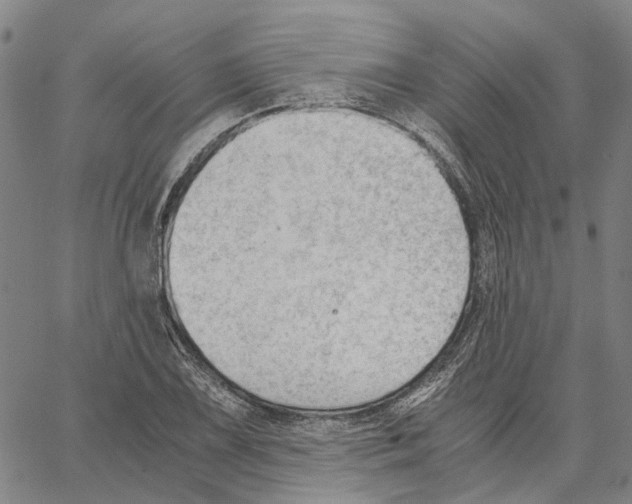 X0000062871075200602101646