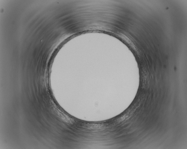 X0000062871076200602101646