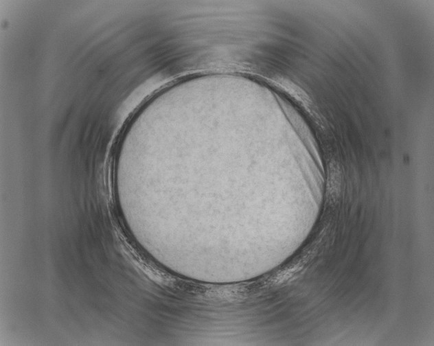 X0000062871078200602101646