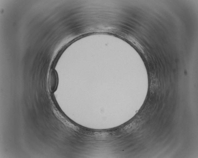 X0000062871080200602101646