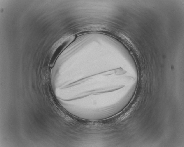 X0000062871081200602101645