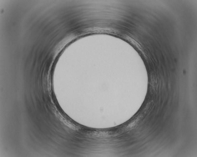 X0000062871082200602101645