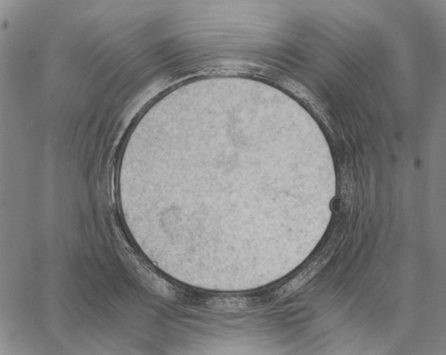 X0000062871083200602101645