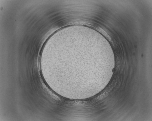 X0000062871084200602101645