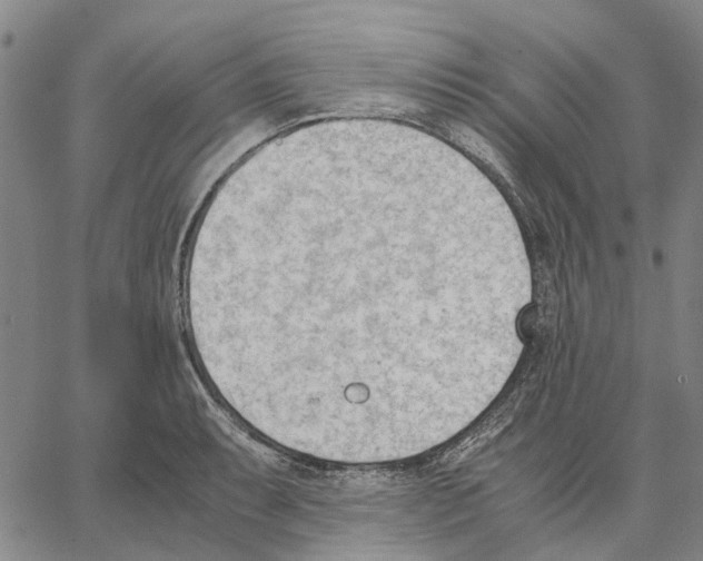 X0000062871087200602101645