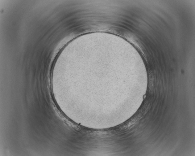 X0000062871088200602101645