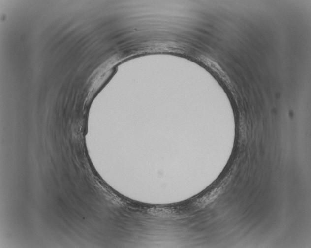 X0000062871089200602101645