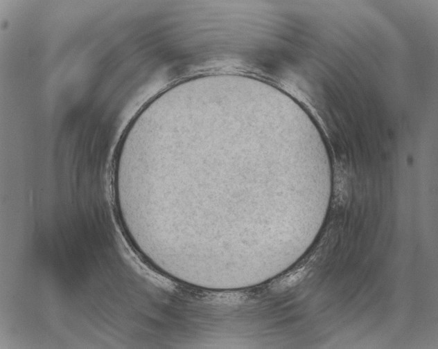 X0000062871090200602101645