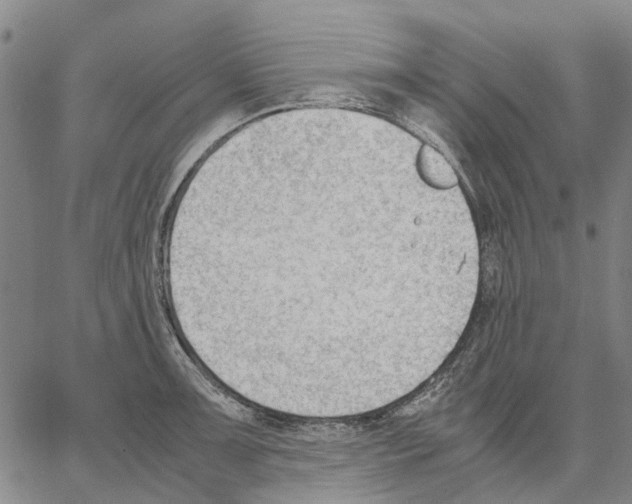 X0000062871091200602101645