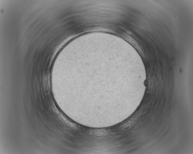 X0000062871092200602101645