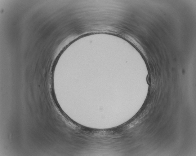 X0000062871093200602101645