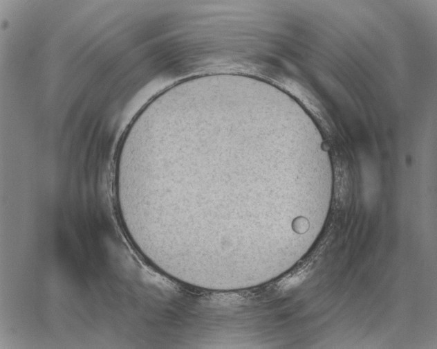 X0000062871094200602101645