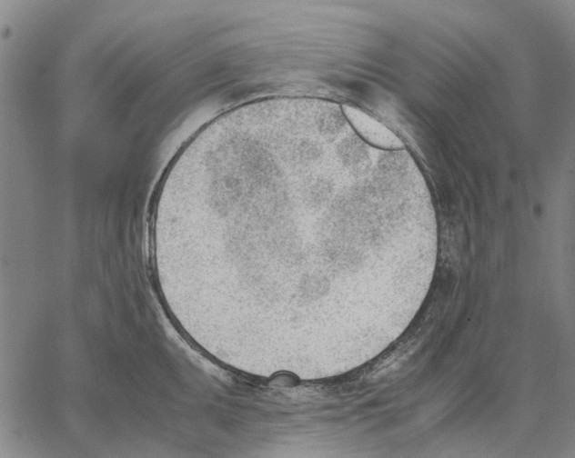 X0000062871095200602101645