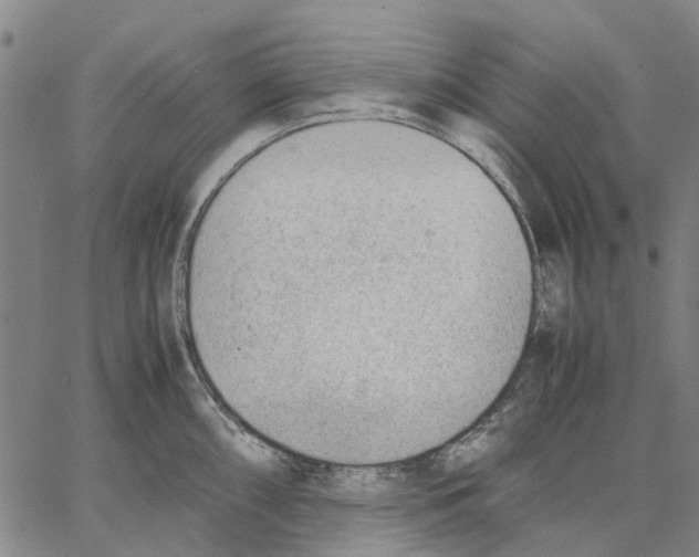 X0000062871098200602101645