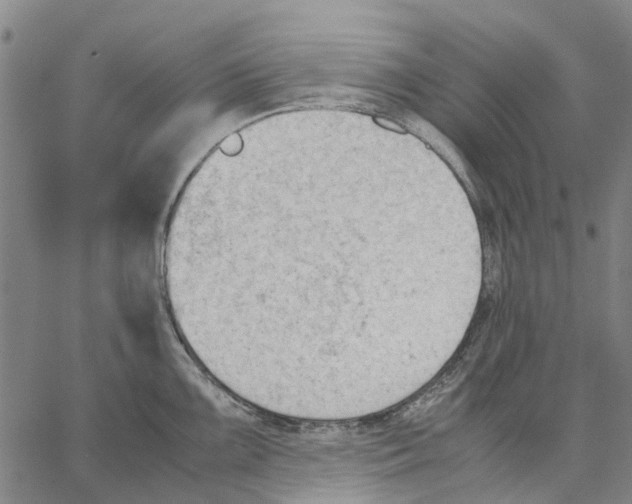 X0000062871099200602101645