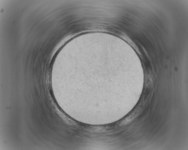 X0000062871101200602101645