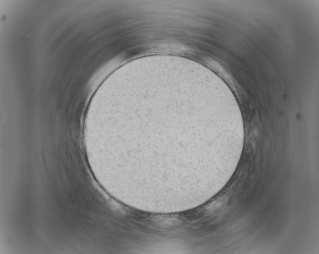 X0000062871103200602101645