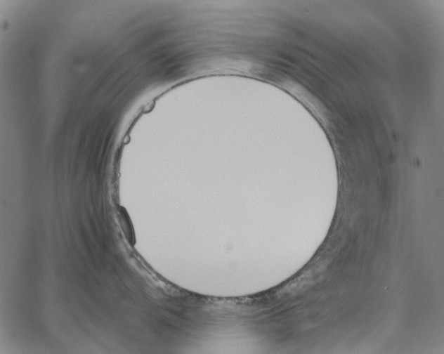 X0000062871104200602101645