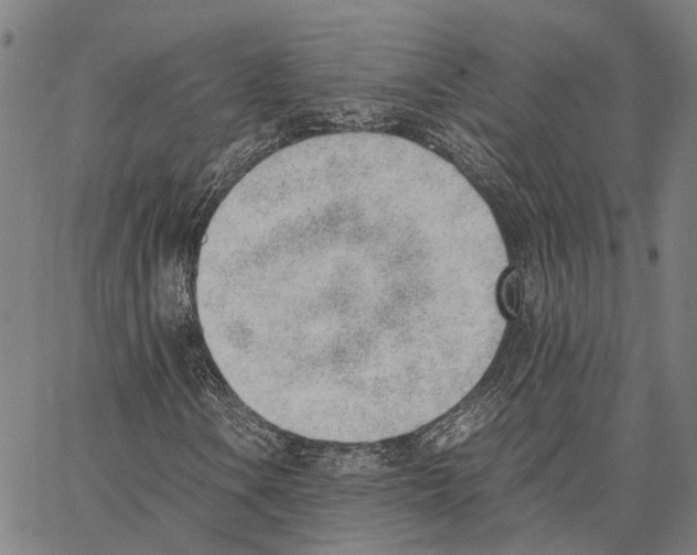 X0000062871106200602101644