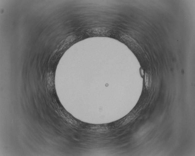 X0000062871107200602101644