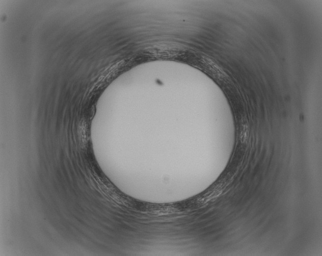 X0000062871108200602101644