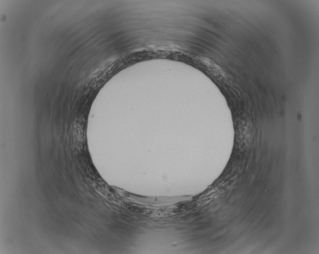 X0000062871110200602101644