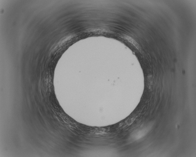 X0000062871111200602101644