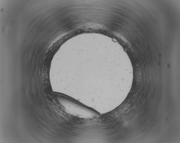 X0000062871112200602101644