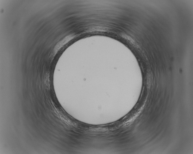 X0000062871113200602101644