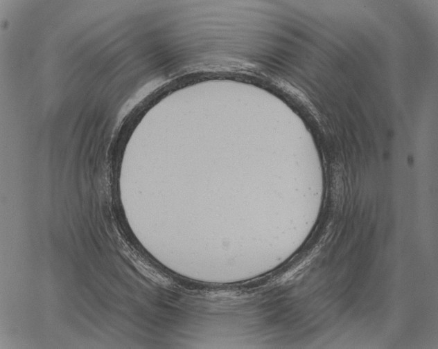 X0000062871114200602101644