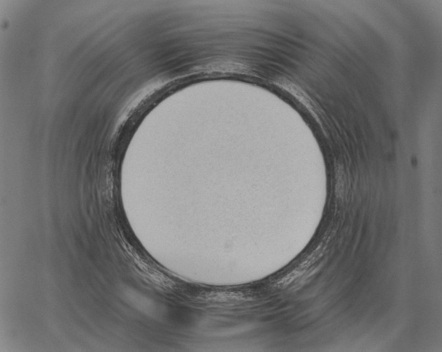 X0000062871115200602101645