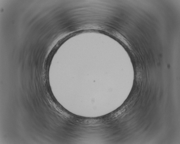 X0000062871116200602101645