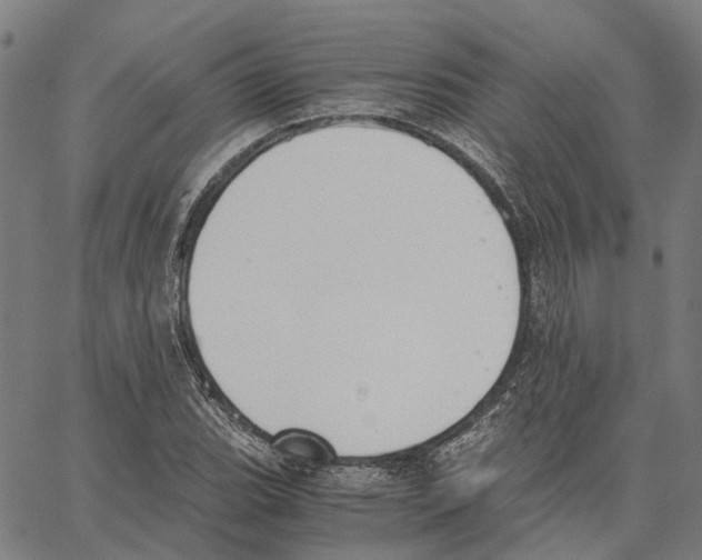 X0000062871119200602101645