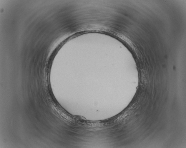 X0000062871120200602101645