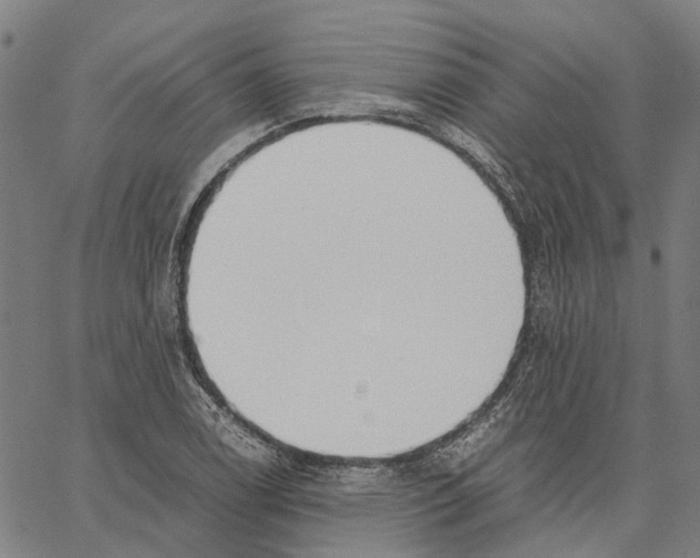 X0000062871122200602101645