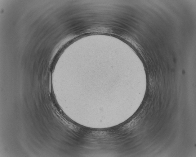 X0000062871123200602101645