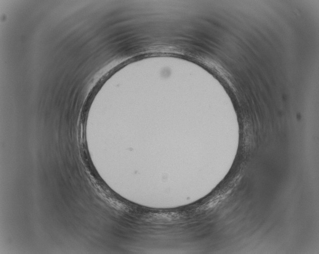 X0000062871125200602101645