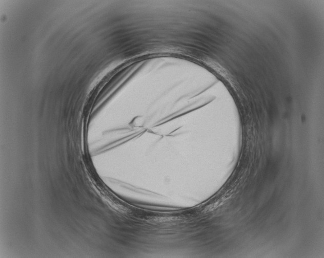 X0000062871127200602101645