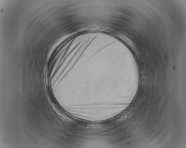 X0000062871128200602101645